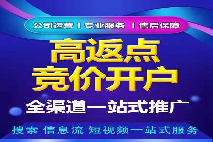 SEM推广案例：电商流量提升策略